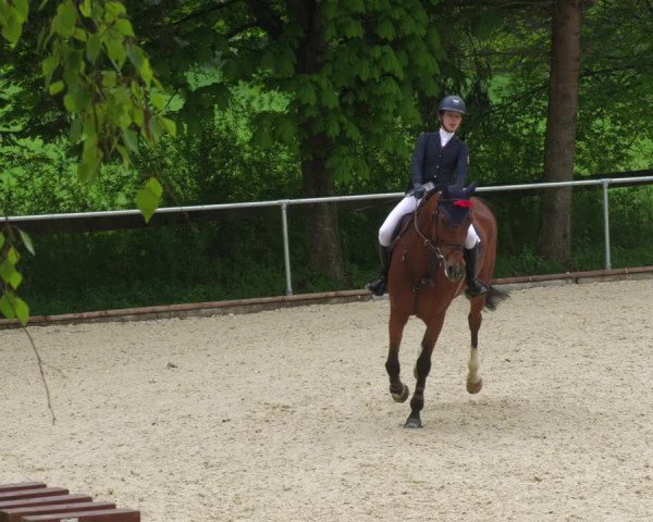 Reitturnier Karlsfeld 2022