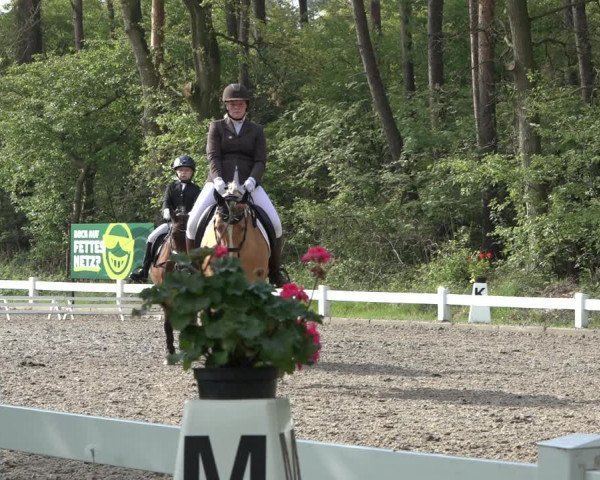 Reitturnier Meppen 2022