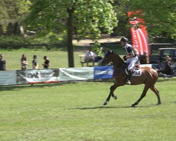 Reitturnier Meppen 2022
