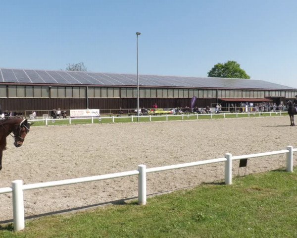 Reitturnier Bietigheim-Bissingen 2022