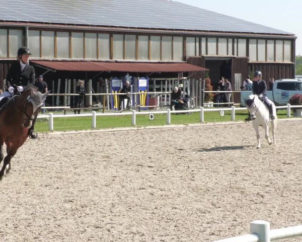 Reitturnier Bietigheim-Bissingen 2022