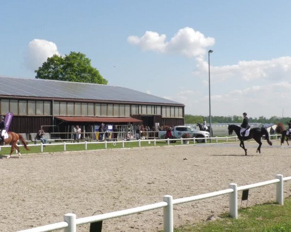 Reitturnier Bietigheim-Bissingen 2022