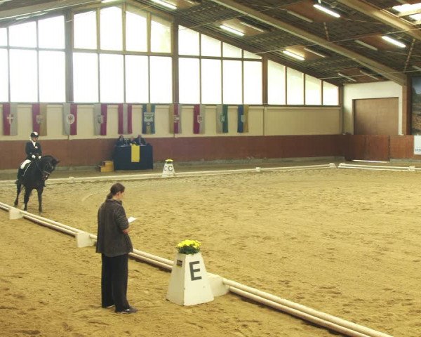 Reitturnier Weikersdorf am Steinfelde 2022