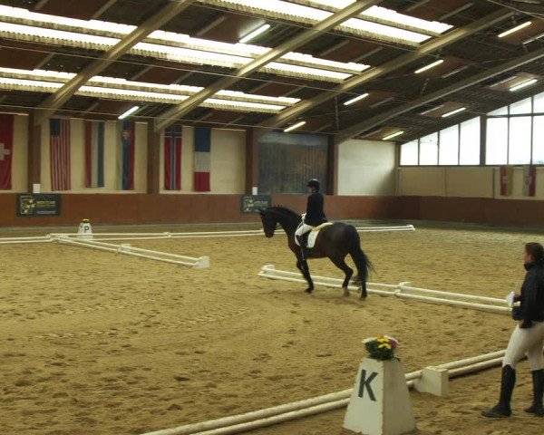Reitturnier Weikersdorf am Steinfelde 2022
