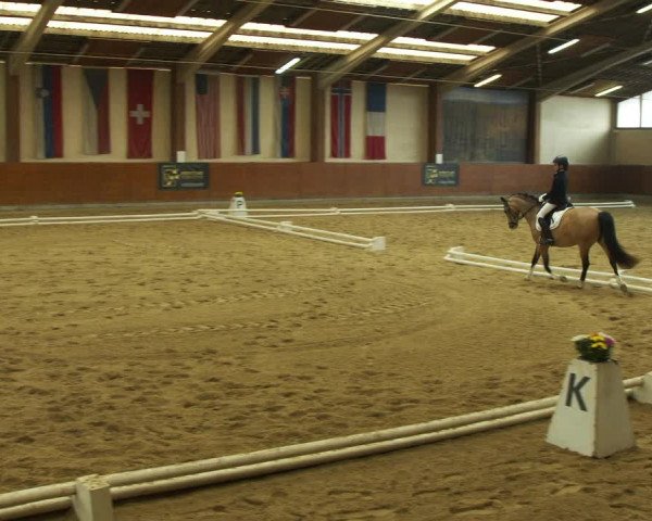 Reitturnier Weikersdorf am Steinfelde 2022