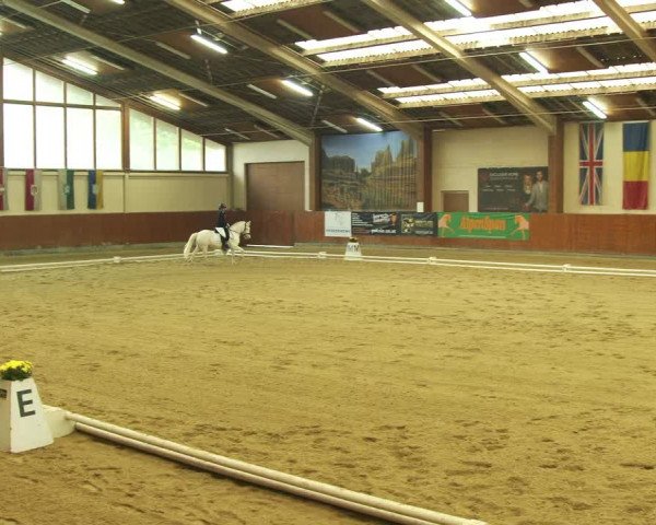 Reitturnier Weikersdorf am Steinfelde 2022