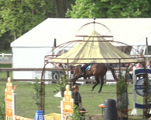 Reitturnier Meppen 2022