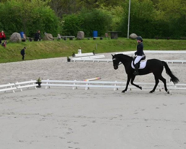 Reitturnier Pietzpuhl 2022