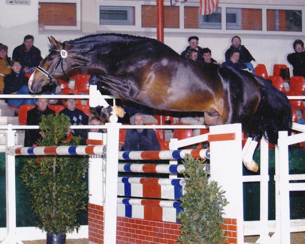jumper Quel Boneur (Oldenburg, 2001, from Quinctius)