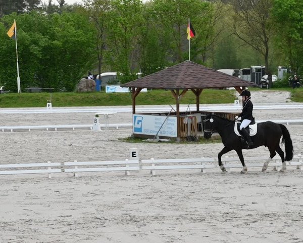 Reitturnier Pietzpuhl 2022