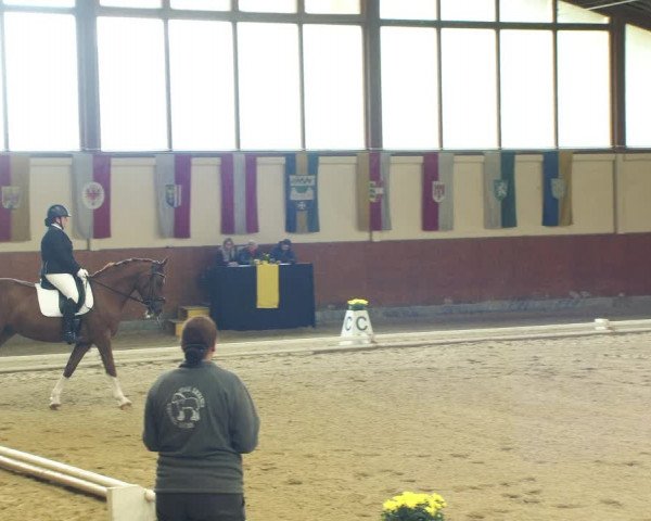 Reitturnier Weikersdorf am Steinfelde 2022