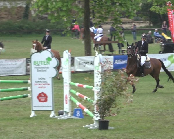 Reitturnier Meppen 2022