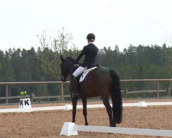 Reitturnier Kreuth/Opf. 2022
