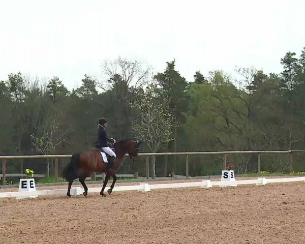 Reitturnier Kreuth/Opf. 2022
