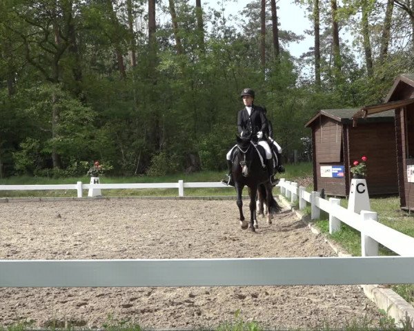 Reitturnier Meppen 2022