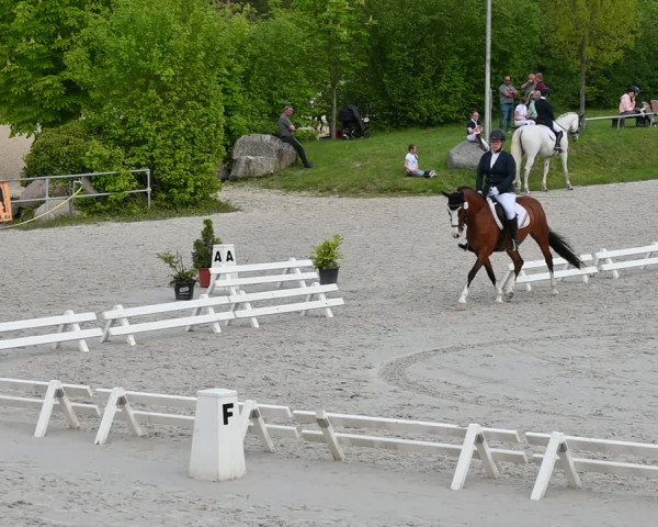 Reitturnier Pietzpuhl 2022