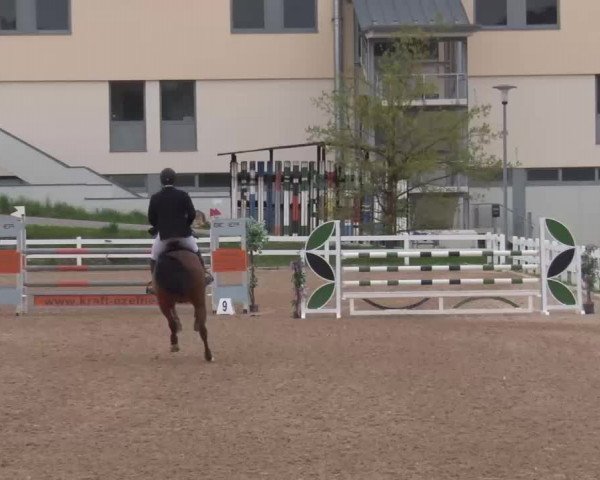 Reitturnier Kreuth/Opf. 2022