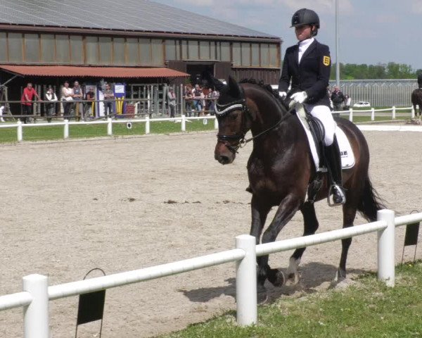 Reitturnier Bietigheim-Bissingen 2022