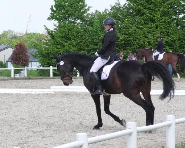 Reitturnier Bietigheim-Bissingen 2022