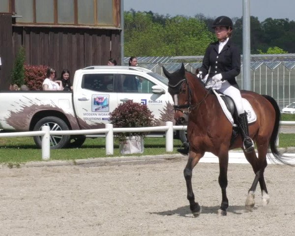 Reitturnier Bietigheim-Bissingen 2022