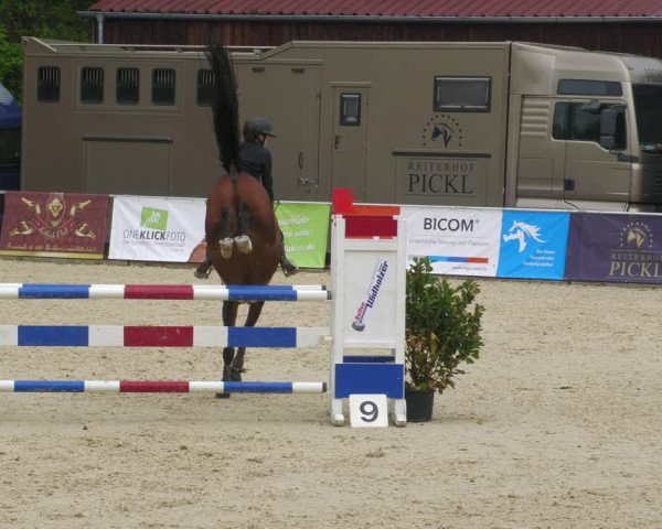 Reitturnier Karlsfeld 2022