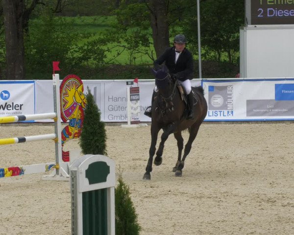 Reitturnier Karlsfeld 2022