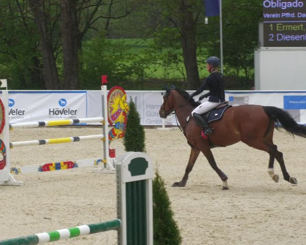 Reitturnier Karlsfeld 2022