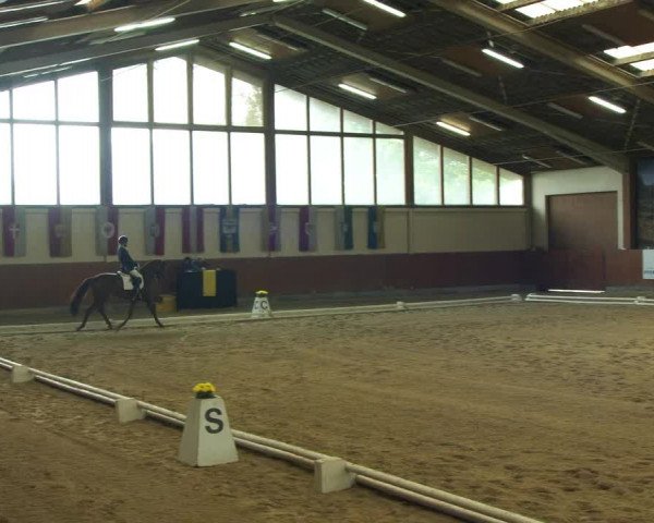 Reitturnier Weikersdorf am Steinfelde 2022