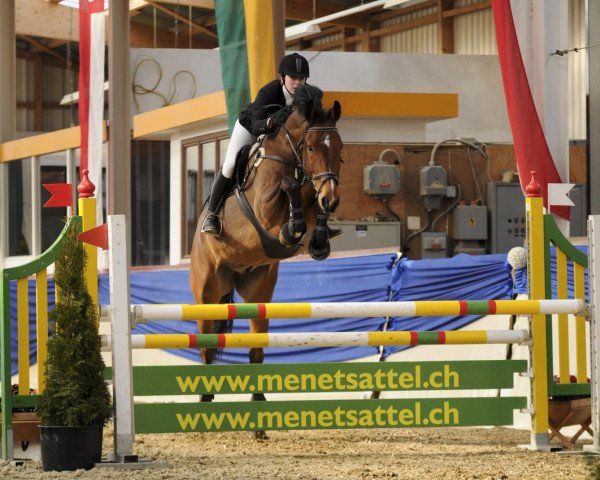 jumper Ludwig von Verl (Oldenburg, 2004, from Ludwig von Bayern 168 FIN)