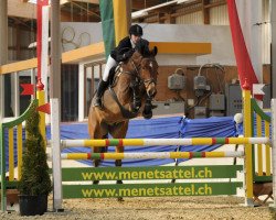 jumper Ludwig von Verl (Oldenburg, 2004, from Ludwig von Bayern 168 FIN)