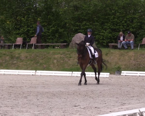 Reitturnier Pietzpuhl 2022