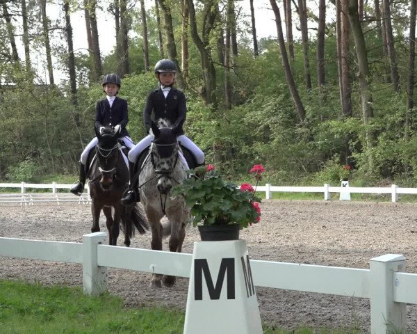 Reitturnier Meppen 2022