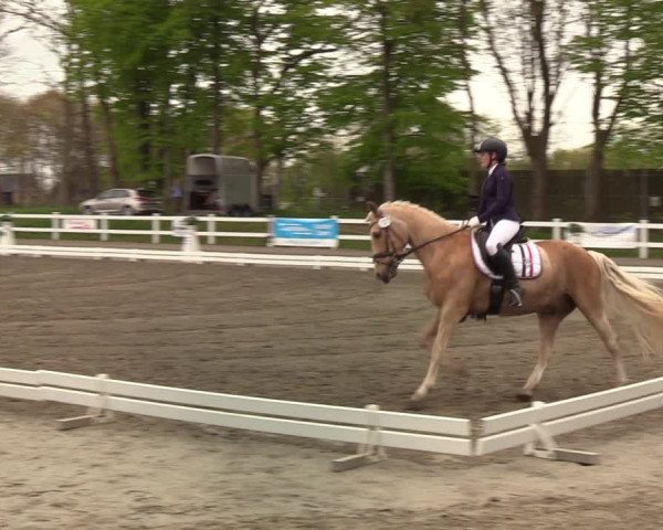 Reitturnier Mildstedt 2022