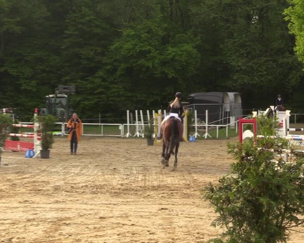 Reitturnier Dinslaken-Hiesfeld 2022