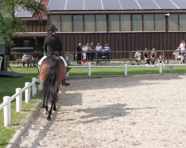 Reitturnier Bietigheim-Bissingen 2022