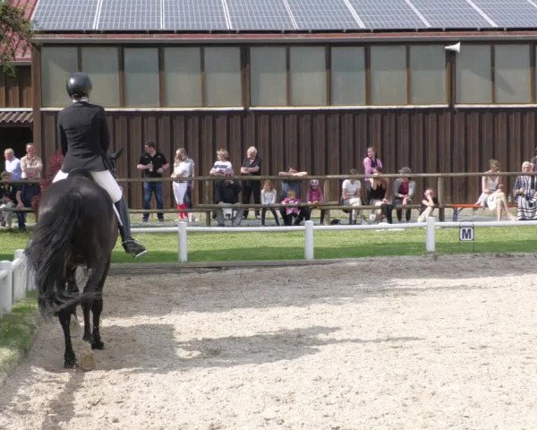 Reitturnier Bietigheim-Bissingen 2022