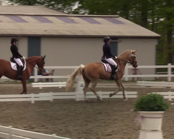 Reitturnier Mildstedt 2022