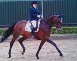 dressage horse Askara 12 (Oldenburg, 2002, from Askar AA)