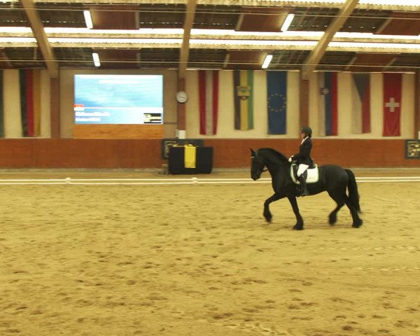 Video of Fedse VDM