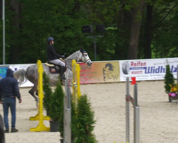 Reitturnier Karlsfeld 2022