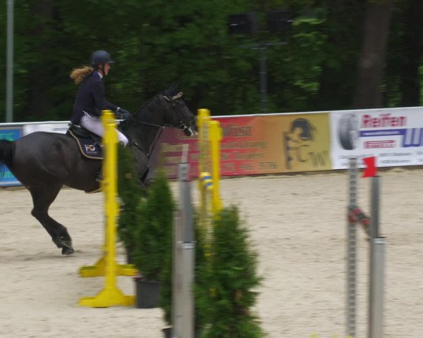 Reitturnier Karlsfeld 2022