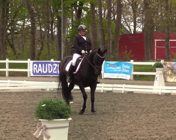 Reitturnier Mildstedt 2022