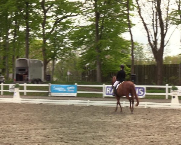 Reitturnier Mildstedt 2022