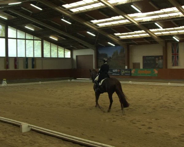 Reitturnier Weikersdorf am Steinfelde 2022