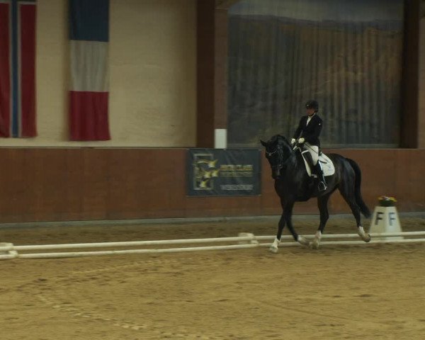 Reitturnier Weikersdorf am Steinfelde 2022