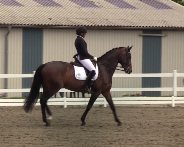 Reitturnier Mildstedt 2022