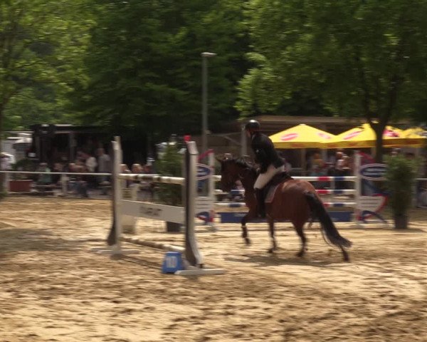 Reitturnier Dinslaken-Hiesfeld 2022