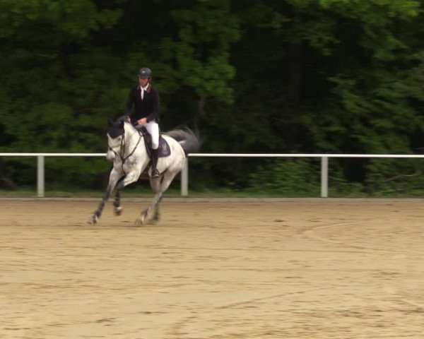 Reitturnier Dinslaken-Hiesfeld 2022