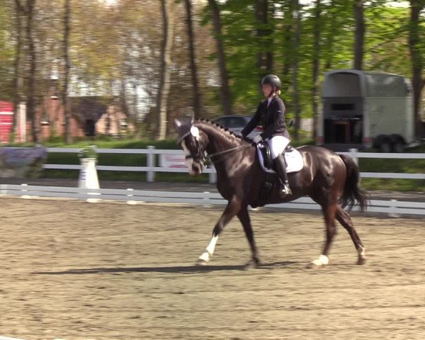 Reitturnier Mildstedt 2022