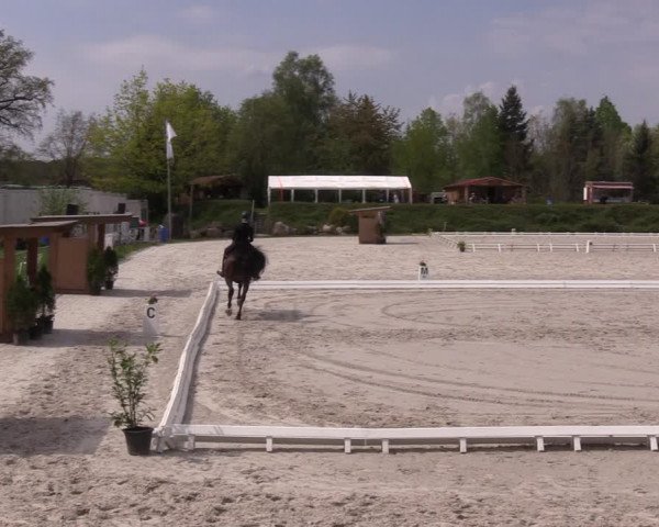 Reitturnier Pietzpuhl 2022